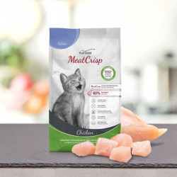 Platinum MeatCrisp Kitten...