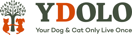 Ydolo